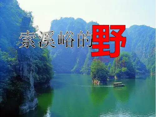 人教版六年级语文上册《索溪峪的“野”》PPT课件(6篇)