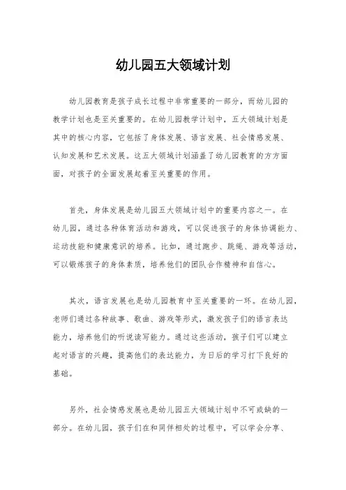 幼儿园五大领域计划