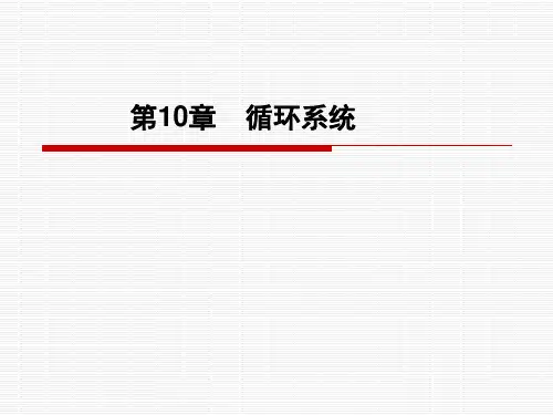 循环系统 课件 PPT
