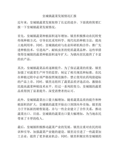 皇城镇蔬菜发展情况汇报