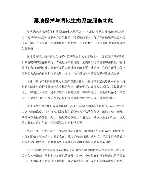 湿地保护与湿地生态系统服务功能