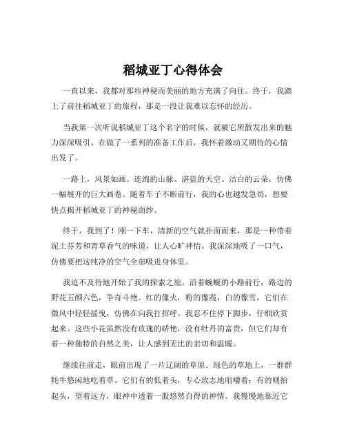 稻城亚丁心得体会