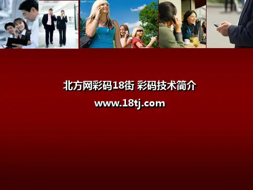北方网彩码18街 彩码技术简介