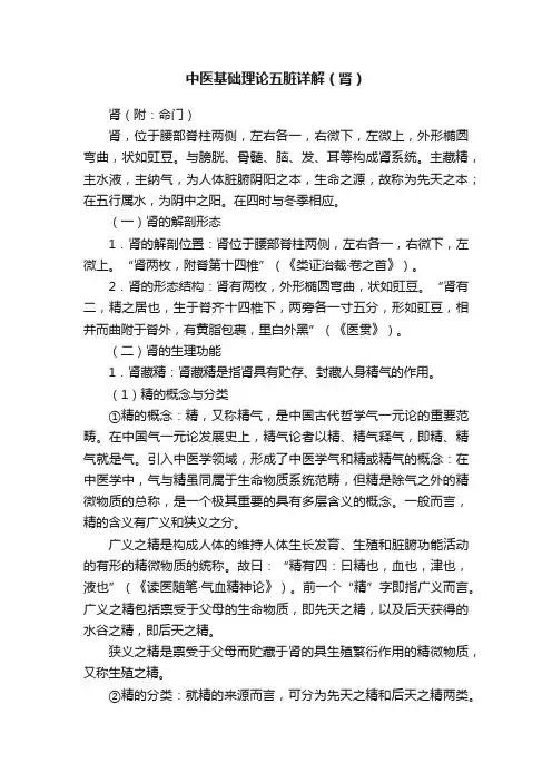 中医基础理论五脏详解（肾）