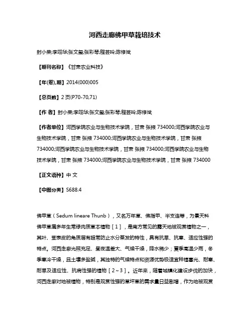 河西走廊佛甲草栽培技术