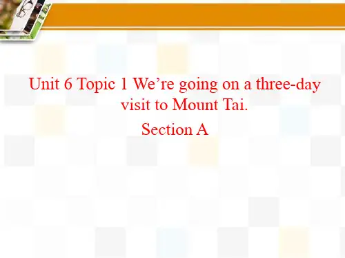 Unit6Topic1SectionA课件-仁爱版英语八年级下册