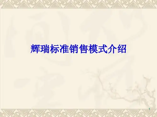 辉瑞标准销售模式ppt课件