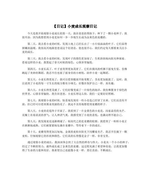 【日记】小麦成长观察日记