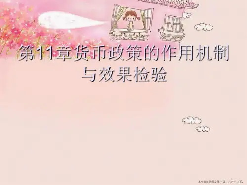 第11章货币政策的作用机制与效果检验