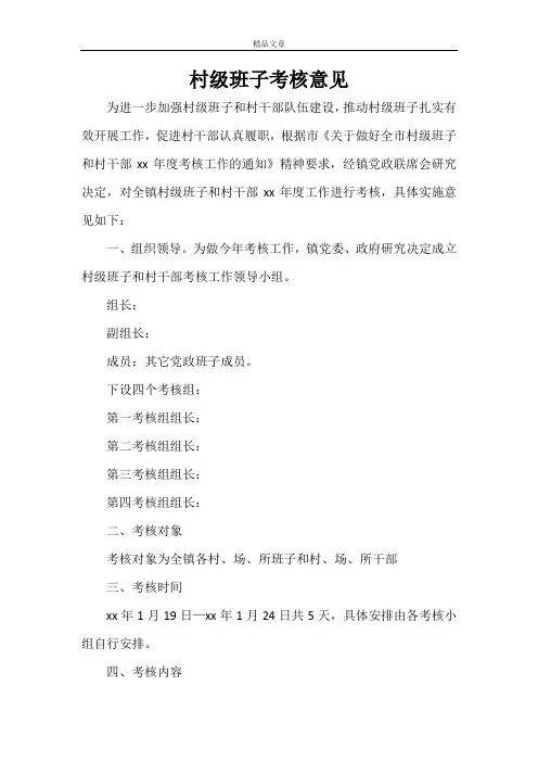 村级班子考核意见