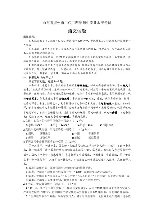 2024年山东省滨州市中考语文试题