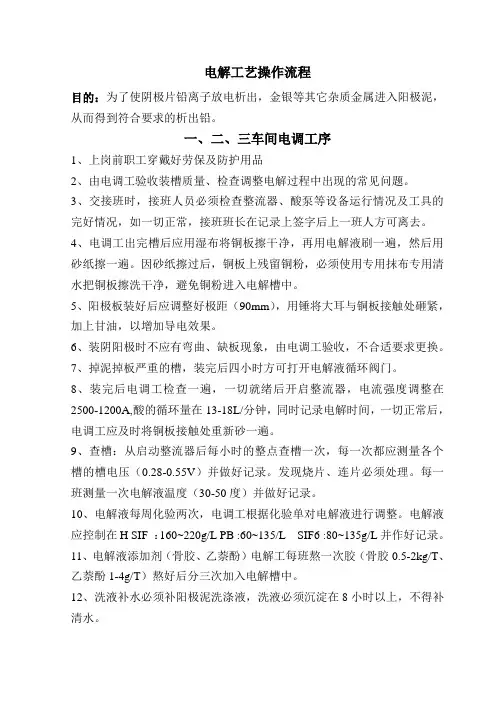 电解工艺操作流程