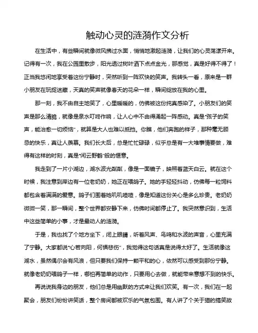 触动心灵的涟漪作文分析
