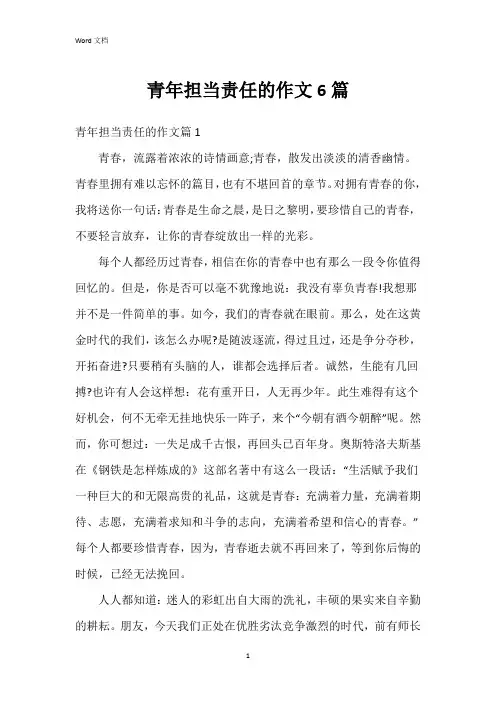 青年担当责任的作文6篇