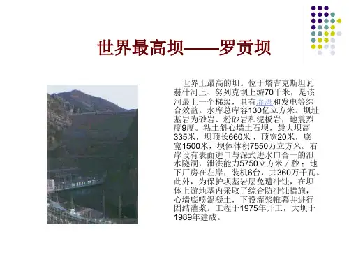 土石坝技术教程