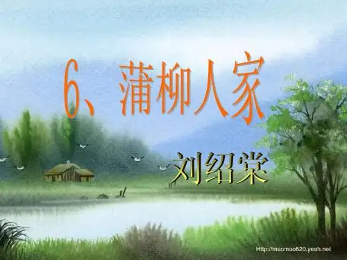 蒲柳人家(共20张PPT)