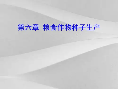 粮食作物种子生产培训课程