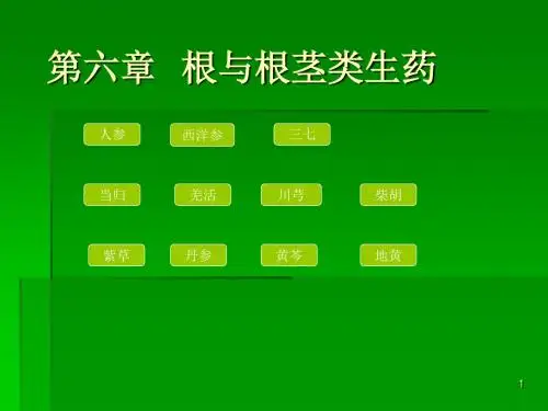 根及根茎类生药ppt课件