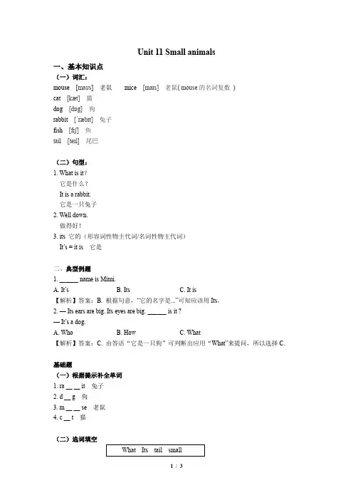 沪教版三年级上册英语  Unit11 Small Animals讲义