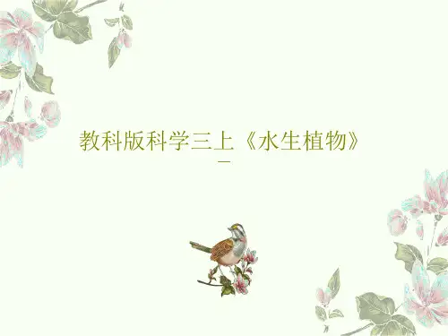 教科版科学三上《水生植物》PPT文档57页