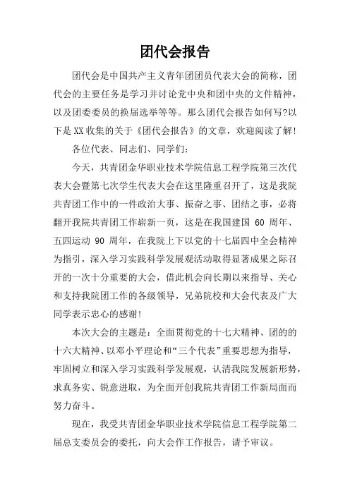 团代会报告