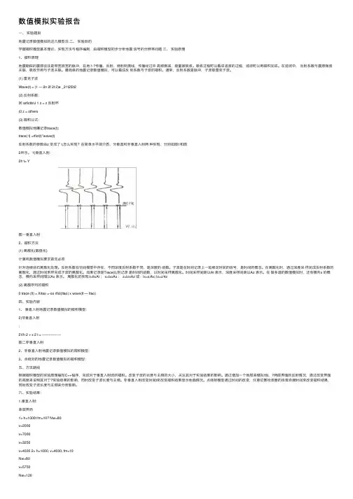 数值模拟实验报告