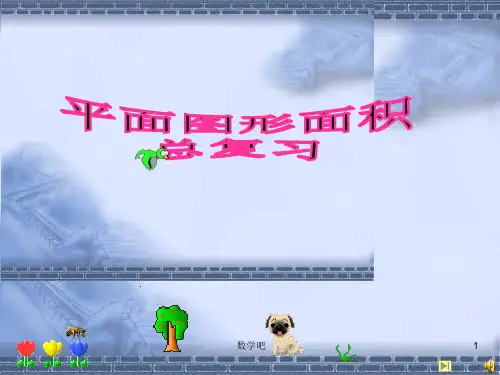 《平面图形面积总复习》 (1)PPT课件