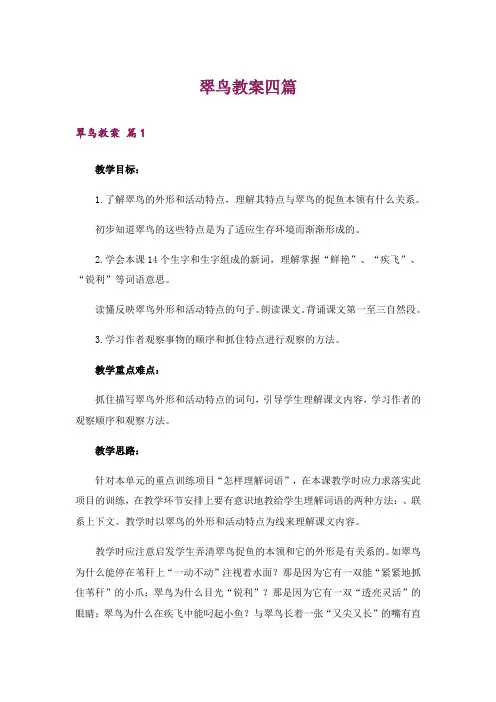 翠鸟教案四篇