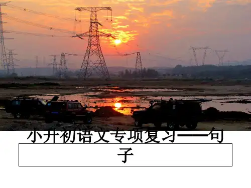 最新小升初语文专项复习——句子课件PPT