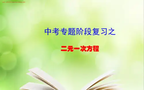 (初中)九年级数学《二元一次方程》中考专题阶段复习讲解教学课件
