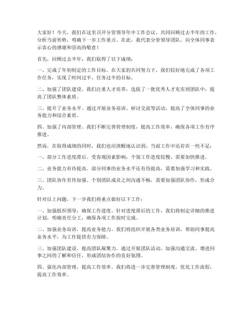 分管领导年中会议发言稿