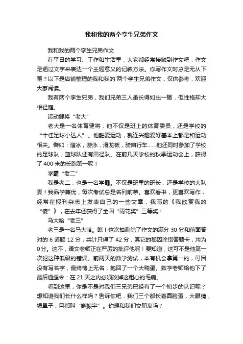 我和我的两个孪生兄弟作文