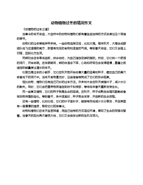 动物植物过冬的情况作文