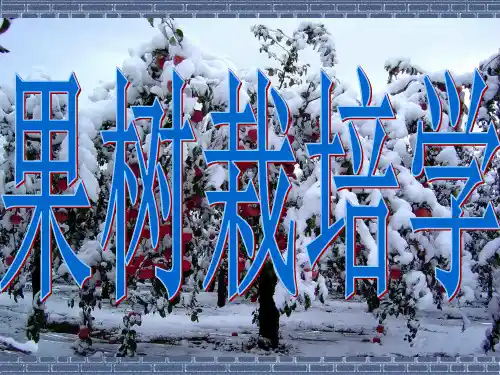果园的水分管理PPT课件