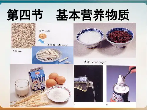 《基本营养物质》PPT人教