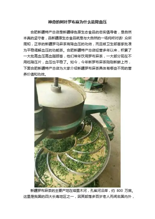 神奇的树叶罗布麻为什么能降血压