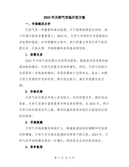 2024年天然气市场开发方案