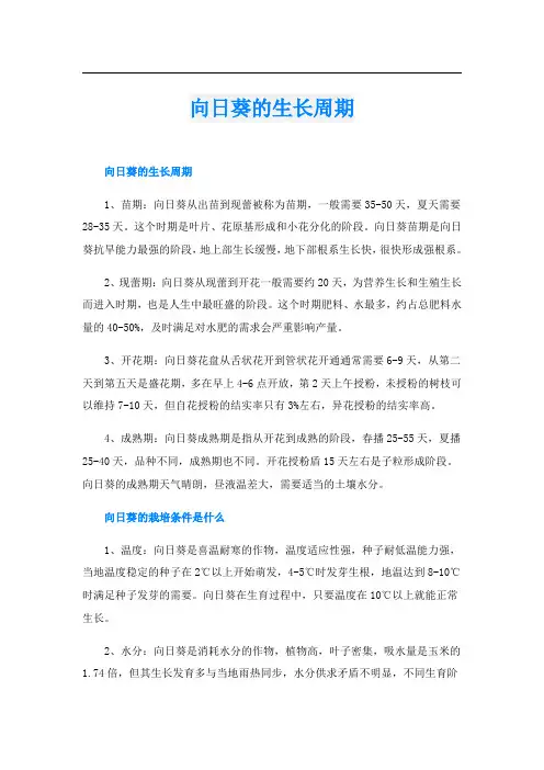 向日葵的生长周期