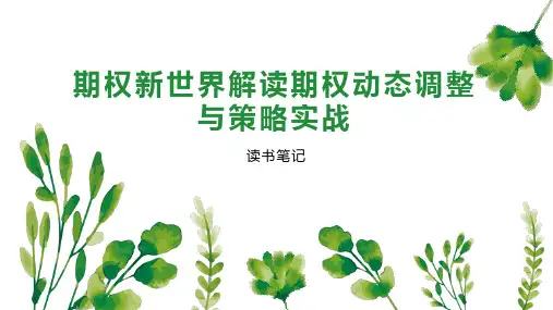 期权新世界解读期权动态调整与策略实战