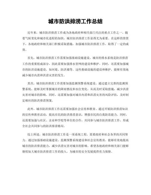 城市防洪排涝工作总结