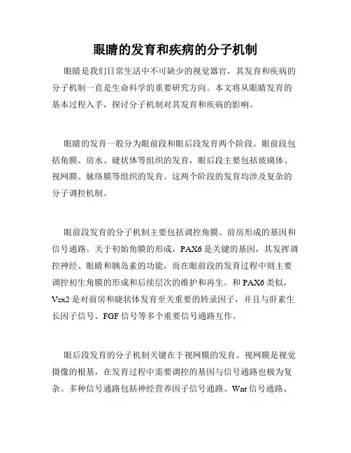 眼睛的发育和疾病的分子机制