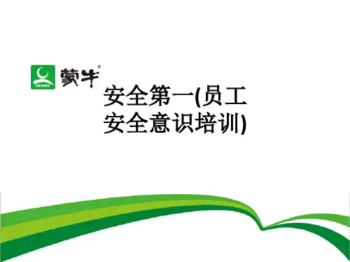 安全第一(员工安全意识培训)ppt课件