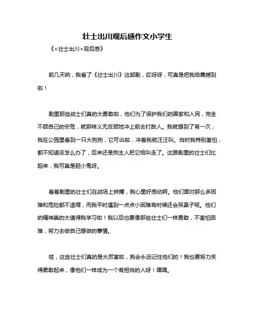 壮士出川观后感作文小学生