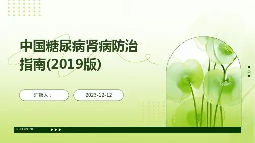 中国糖尿病肾病防治指南(2019版)
