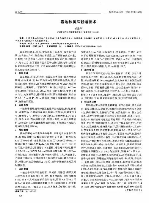 露地秋黄瓜栽培技术