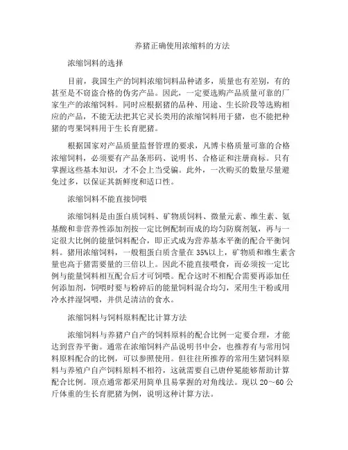 养猪正确使用浓缩料的方法