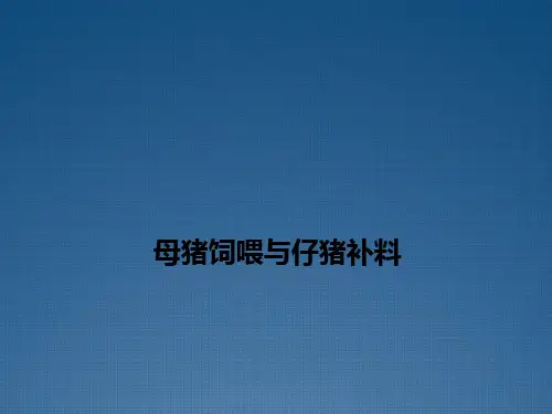 母猪饲喂与仔猪补料课件
