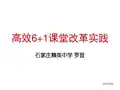 精英中学-高效6+1课堂实践(罗显)