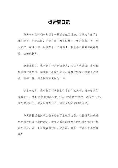 捉迷藏日记