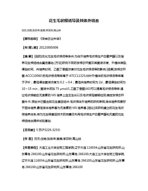 花生毛状根诱导及其体外培养
